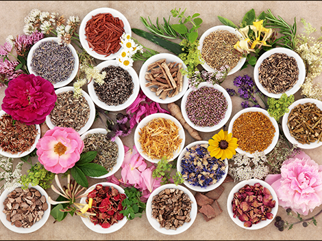 Herbs