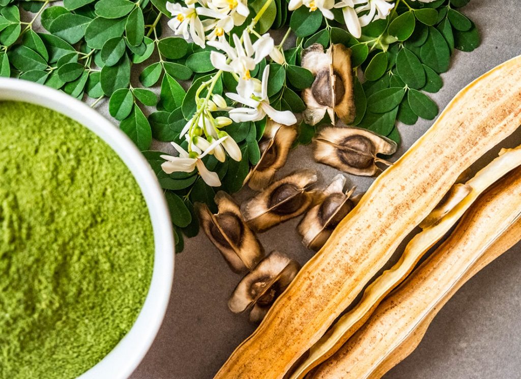 AYURVEDIC USES OF MORINGA