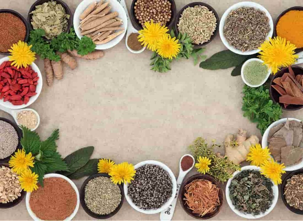 ayush ayurvedic