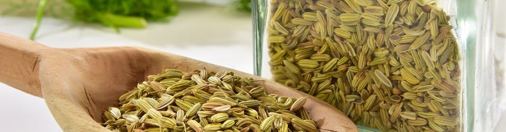 AYURVEDIC REMEDIES WITH FENNEL