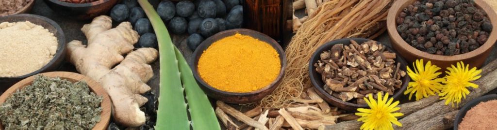 ADAPTOGENS IN AYURVEDA