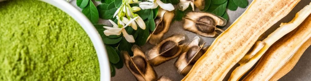 Ayush ayurveda