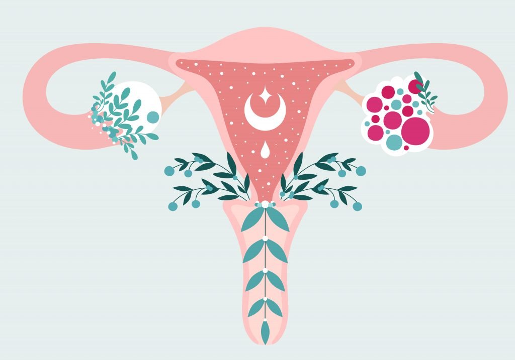Ayush ayurveda for pcos