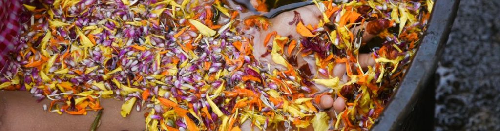 HOW TO KEEP THE BODY COOL WITH AYURVEDA