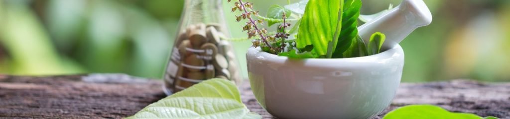 Ayush Ayurveda