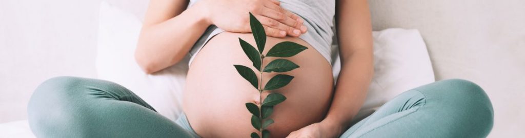 AYURVEDA FOR FERTILITY