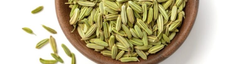 Ayush ayurvedic fennel seeds