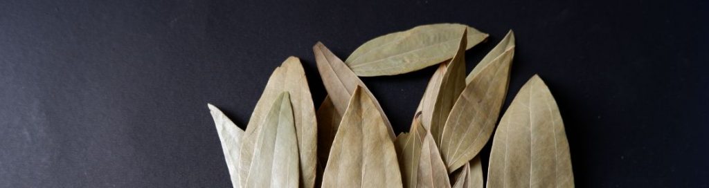 TANGIBLE HEALTH BENEFITS OF BAY LEAF