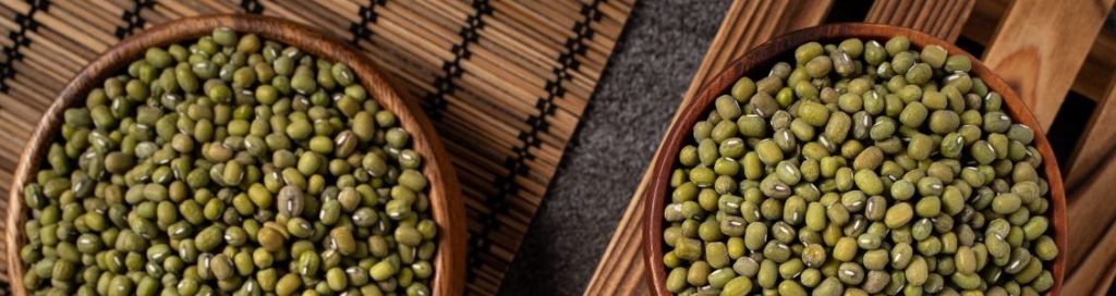 Ayush Ayurveda