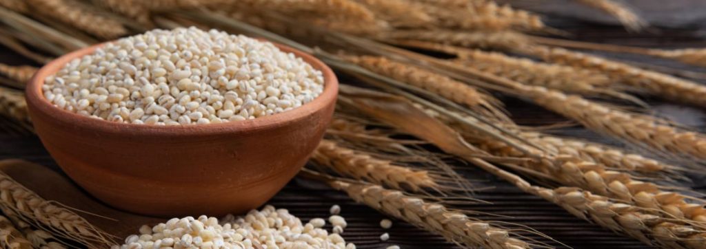 Ayurvedic Singapore Explains Uses of Barley for Healthy Life