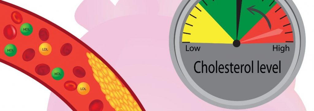 Ayurvedic Singapore Tips to Regulate Cholesterol Levels