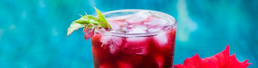 Ayurveda Singapore on the Health Benefits of Hibiscus Tea