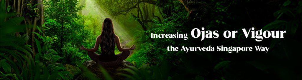Increasing Ojas or Vigour the Ayurveda Singapore Way