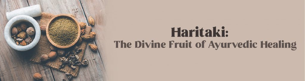 Haritaki: The Divine Fruit of Ayurvedic Healing