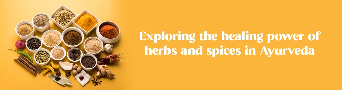 Exploring the healing power of herbs and spices in Ayurveda
