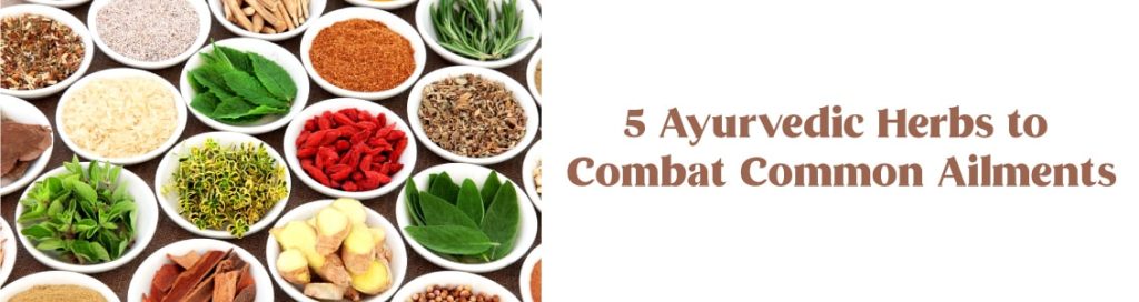 5 Ayurvedic Herbs to Combat Common Ailments
