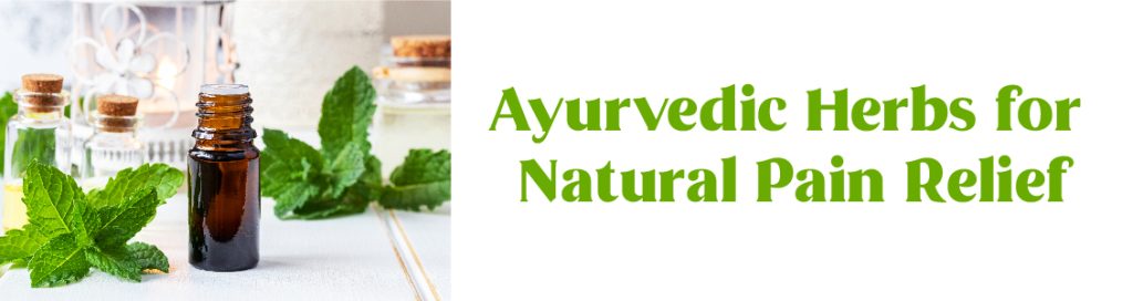 Ayurvedic Herbs for Natural Pain Relief