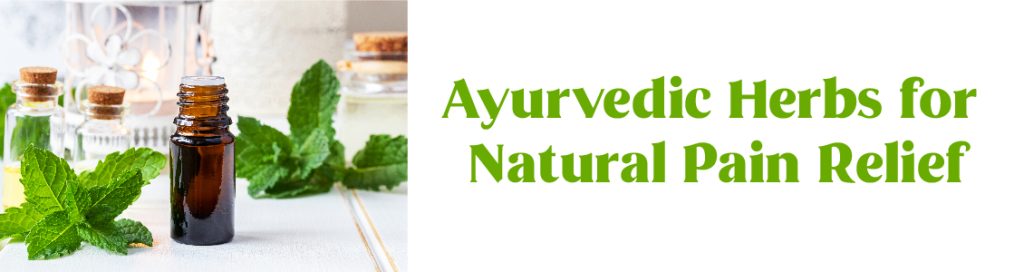 Ayush Ayurveda