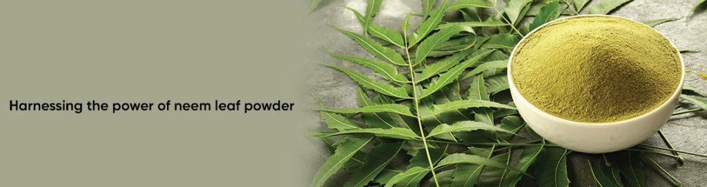 Harnessing the power of neem leaf powder