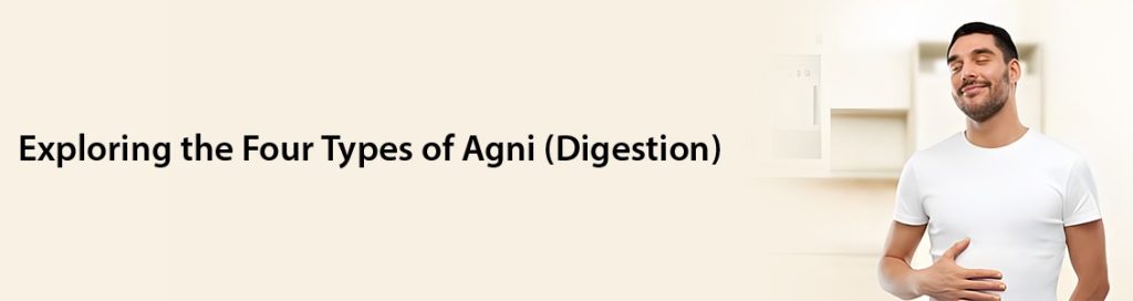 Exploring the Four Types of Agni (Digestion)