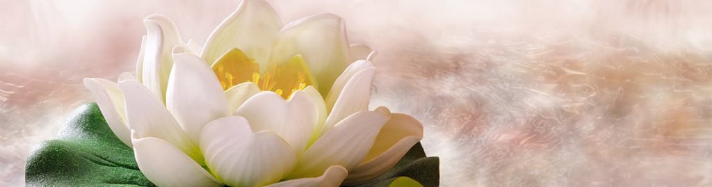 HERBAL STEAM BATH